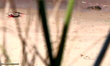 Une brune mince chevauche une grosse bite sur une plage