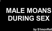 Männlicher Stöhnen-Zusammenstellung: Eine Sammlung schwuler Soundeffekte
